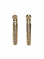 Cercei CRC011 AURIU | MEI