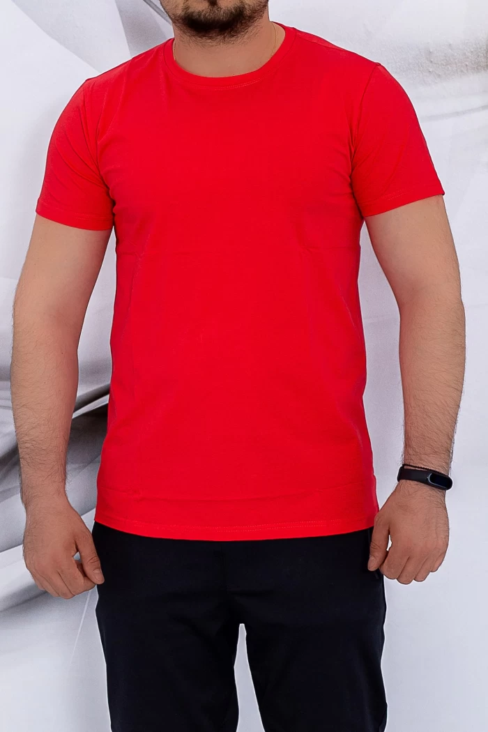Мъжка тениска D236 Червено (G53) Fashion