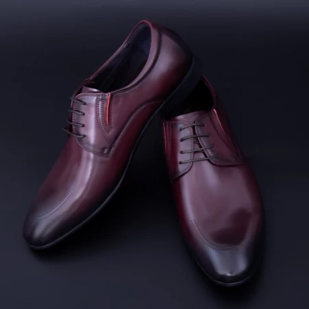 Елегантни обувки за мъже 003-833 бордо (N38|000) Stephano
